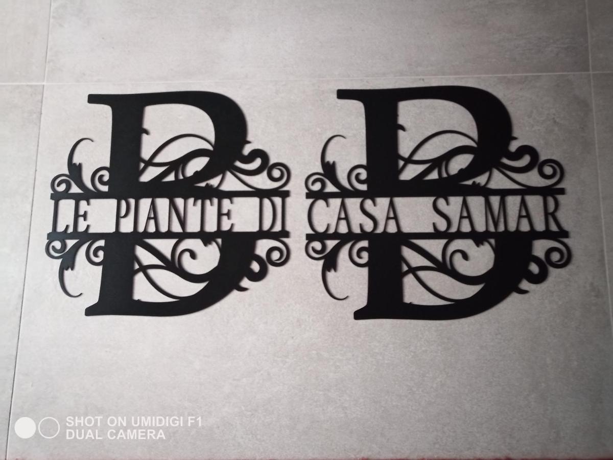 Bed and Breakfast Le Piante Di Casa Samar Castelguelfo Zewnętrze zdjęcie